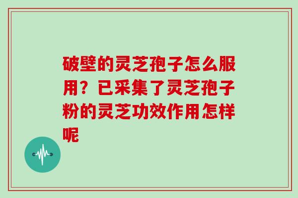 破壁的灵芝孢子怎么服用？已采集了灵芝孢子粉的灵芝功效作用怎样呢