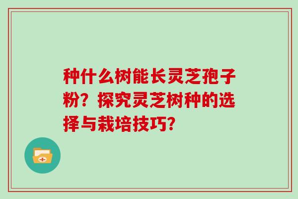 种什么树能长灵芝孢子粉？探究灵芝树种的选择与栽培技巧？