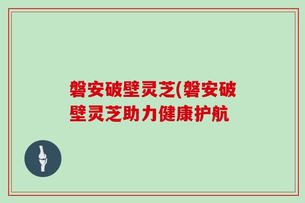 磐安破壁灵芝(磐安破壁灵芝助力健康护航