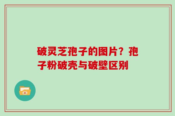 破灵芝孢子的图片？孢子粉破壳与破壁区别