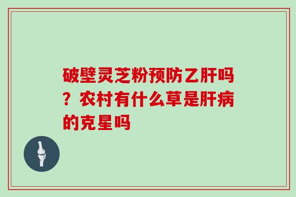 破壁灵芝粉预防乙肝吗？农村有什么草是肝病的克星吗