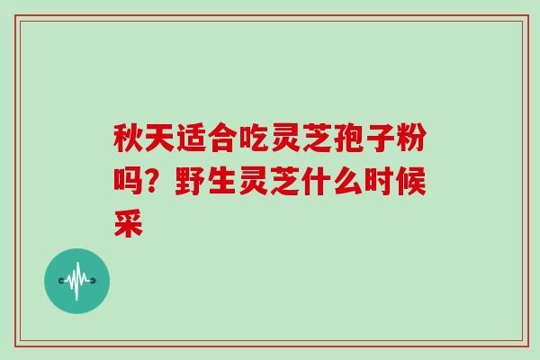 秋天适合吃灵芝孢子粉吗？野生灵芝什么时候采