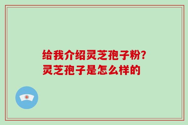给我介绍灵芝孢子粉?灵芝孢子是怎么样的-第1张图片-灵芝大师 给我介绍灵芝孢子粉?灵芝孢子是怎么样的-第1张图片-灵芝大师