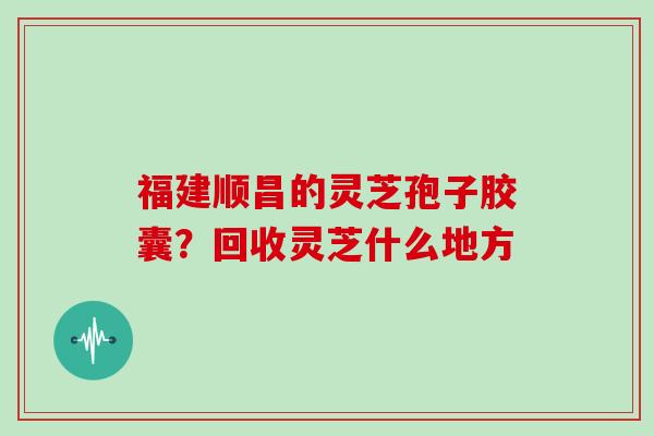 福建顺昌的灵芝孢子胶囊？回收灵芝什么地方