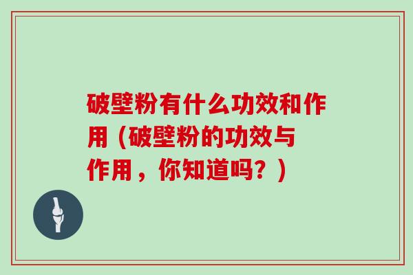 破壁粉有什么功效和作用 (破壁粉的功效与作用，你知道吗？)