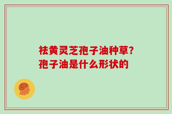 祛黄灵芝孢子油种草？孢子油是什么形状的