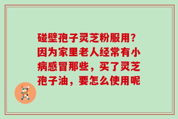 碰壁孢子灵芝粉服用？因为家里老人经常有小病感冒那些，买了灵芝孢子油，要怎么使用呢
