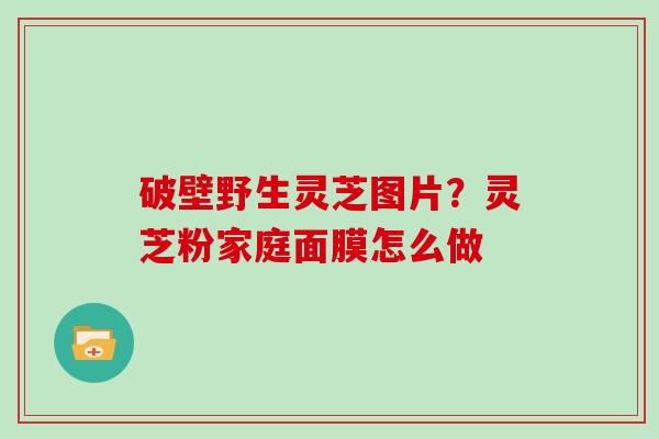 破壁野生灵芝图片?灵芝粉家庭面膜怎么做-第1张图片-灵芝大师 破壁野生灵芝图片?灵芝粉家庭面膜怎么做-第1张图片-灵芝大师