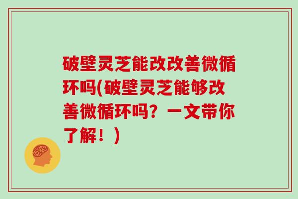 破壁灵芝能改改善微循环吗(破壁灵芝能够改善微循环吗？一文带你了解！)