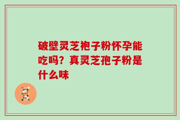 破壁灵芝袍子粉怀孕能吃吗？真灵芝孢子粉是什么味