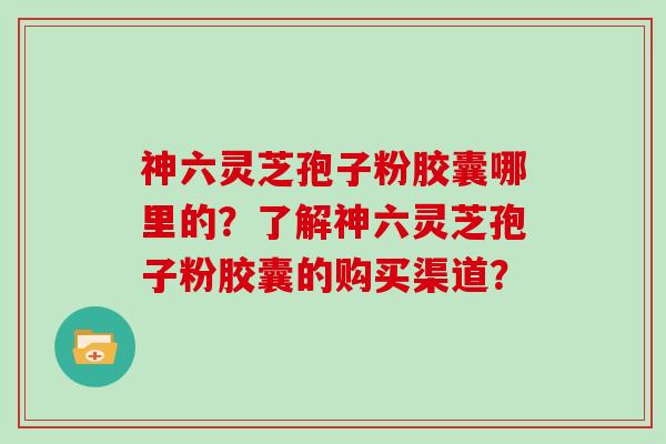 神六灵芝孢子粉胶囊哪里的?了解神六灵芝孢子粉胶囊的购买渠道?-第1张图片-灵芝大师 神六灵芝孢子粉胶囊哪里的?了解神六灵芝孢子粉胶囊的购买渠道?-第1张图片-灵芝大师