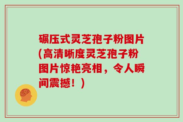 碾压式灵芝孢子粉图片(高清晰度灵芝孢子粉图片惊艳亮相，令人瞬间震撼！)