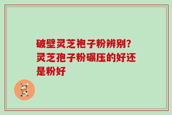 破壁灵芝袍子粉辨别？灵芝孢子粉碾压的好还是粉好