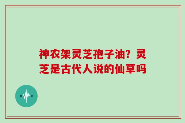 神农架灵芝孢子油？灵芝是古代人说的仙草吗