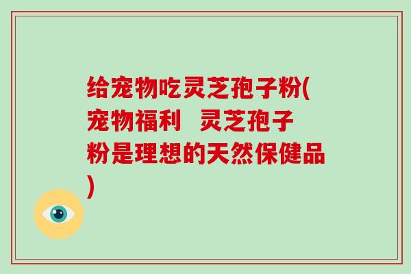 给宠物吃灵芝孢子粉(宠物福利  灵芝孢子粉是理想的天然保健品)-第1张图片-灵芝大师