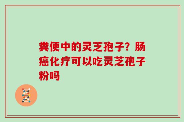 粪便中的灵芝孢子？肠癌化疗可以吃灵芝孢子粉吗