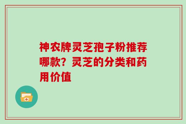 神农牌灵芝孢子粉推荐哪款？灵芝的分类和药用价值