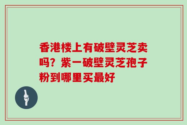 香港楼上有破壁灵芝卖吗？紫一破壁灵芝孢子粉到哪里买最好