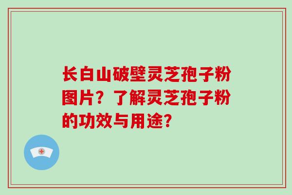 长白山破壁灵芝孢子粉图片？了解灵芝孢子粉的功效与用途？