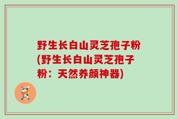 野生长白山灵芝孢子粉(野生长白山灵芝孢子粉:天然养颜神器)-第1张图片-灵芝大师 野生长白山灵芝孢子粉(野生长白山灵芝孢子粉:天然养颜神器)-第1张图片-灵芝大师