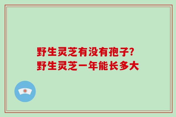 野生灵芝有没有孢子？野生灵芝一年能长多大
