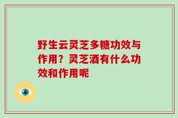 野生云灵芝多糖功效与作用？灵芝酒有什么功效和作用呢