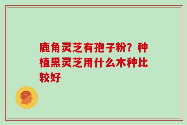 鹿角灵芝有孢子粉？种植黑灵芝用什么木种比较好