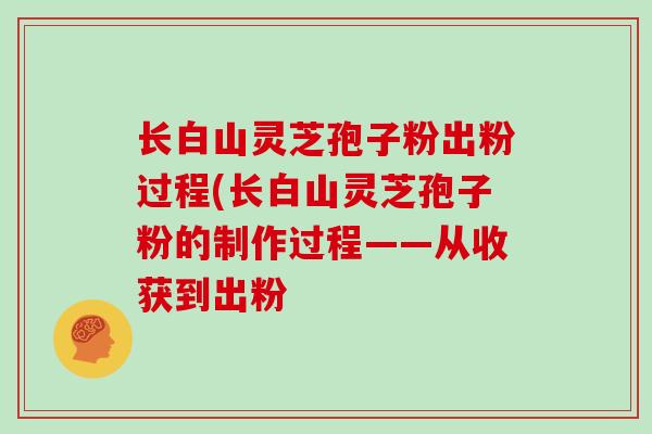 长白山灵芝孢子粉出粉过程(长白山灵芝孢子粉的制作过程——从收获到出粉