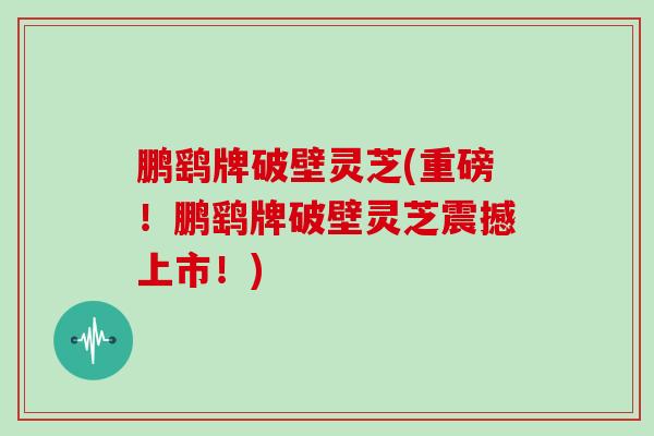 鹏鹞牌破壁灵芝(重磅！鹏鹞牌破壁灵芝震撼上市！)