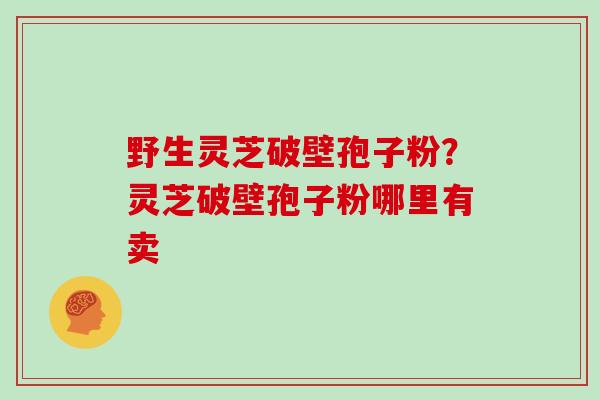 野生灵芝破壁孢子粉？灵芝破壁孢子粉哪里有卖