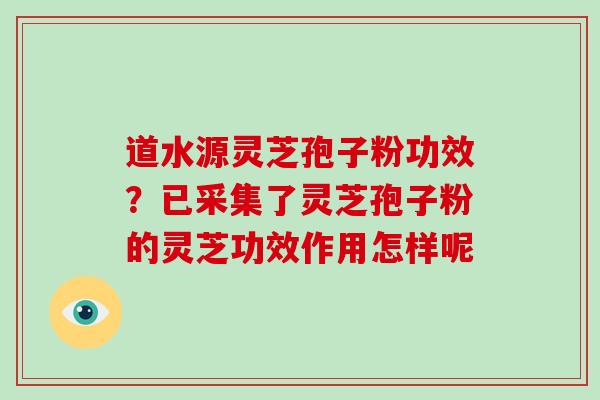 道水源灵芝孢子粉功效？已采集了灵芝孢子粉的灵芝功效作用怎样呢