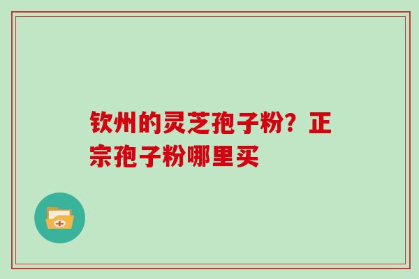 钦州的灵芝孢子粉？正宗孢子粉哪里买