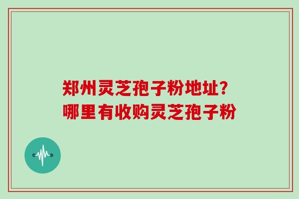 郑州灵芝孢子粉地址？哪里有收购灵芝孢子粉-第1张图片-灵芝大师