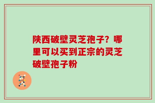 陕西破壁灵芝孢子？哪里可以买到正宗的灵芝破壁孢子粉