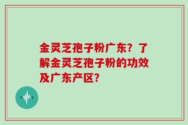 金灵芝孢子粉广东？了解金灵芝孢子粉的功效及广东产区？