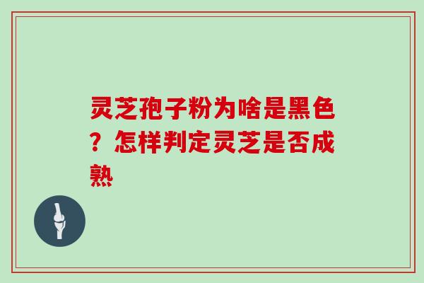 灵芝孢子粉为啥是黑色？怎样判定灵芝是否成熟