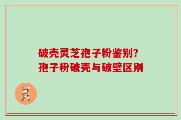 破壳灵芝孢子粉鉴别？孢子粉破壳与破壁区别
