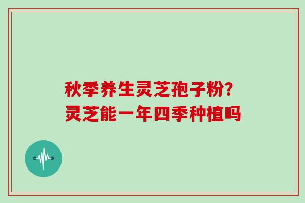 秋季养生灵芝孢子粉？灵芝能一年四季种植吗