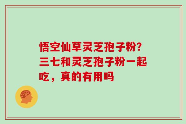 悟空仙草灵芝孢子粉？三七和灵芝孢子粉一起吃，真的有用吗