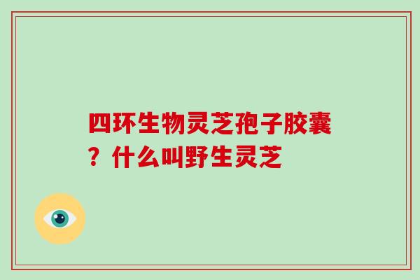四环生物灵芝孢子胶囊？什么叫野生灵芝
