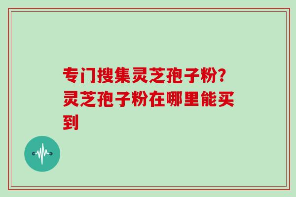 专门搜集灵芝孢子粉？灵芝孢子粉在哪里能买到