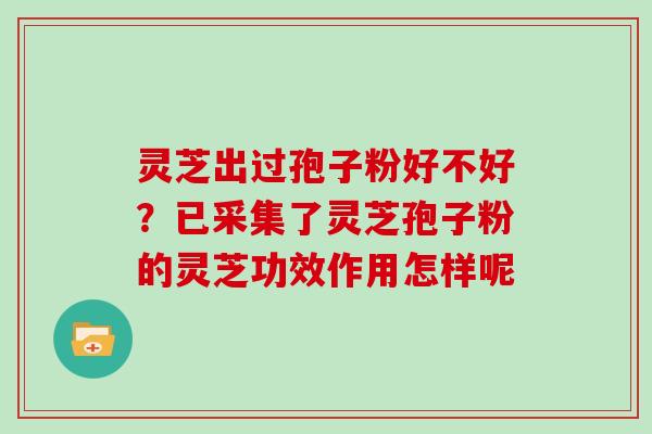 灵芝出过孢子粉好不好？已采集了灵芝孢子粉的灵芝功效作用怎样呢