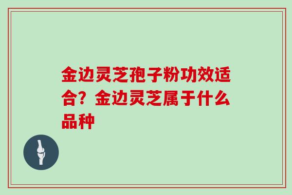 金边灵芝孢子粉功效适合？金边灵芝属于什么品种