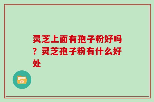 灵芝上面有孢子粉好吗？灵芝孢子粉有什么好处