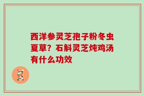 西洋参灵芝孢子粉冬虫夏草？石斛灵芝炖鸡汤有什么功效