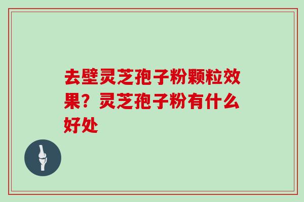 去壁灵芝孢子粉颗粒效果？灵芝孢子粉有什么好处