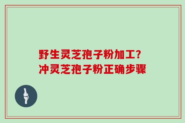 野生灵芝孢子粉加工？冲灵芝孢子粉正确步骤