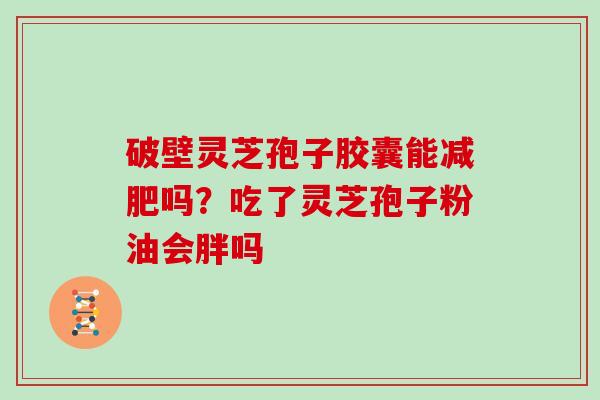 破壁灵芝孢子胶囊能减肥吗？吃了灵芝孢子粉油会胖吗