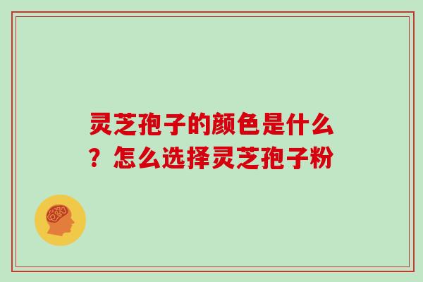 灵芝孢子的颜色是什么？怎么选择灵芝孢子粉
