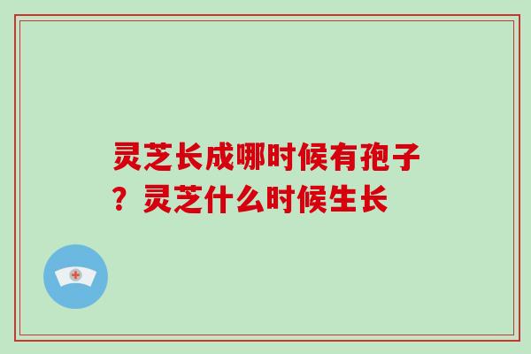 灵芝长成哪时候有孢子？灵芝什么时候生长